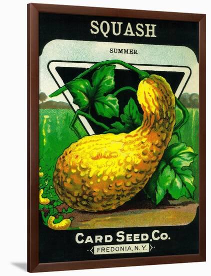 Squash Seed Packet-Lantern Press-Framed Art Print