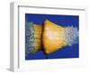 Squash Squished-Alan Sailer-Framed Photographic Print