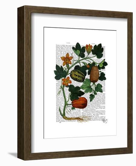 Squash Vine 1-Fab Funky-Framed Art Print