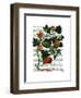 Squash Vine 1-Fab Funky-Framed Art Print