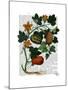 Squash Vine 1-Fab Funky-Mounted Art Print