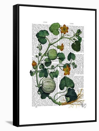 Squash Vine 2-Fab Funky-Framed Stretched Canvas