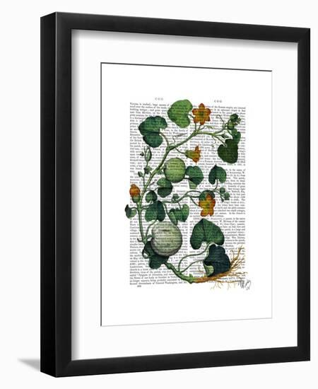 Squash Vine 2-Fab Funky-Framed Art Print