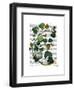 Squash Vine 2-Fab Funky-Framed Art Print