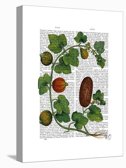 Squash Vine 3-Fab Funky-Stretched Canvas