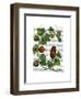 Squash Vine 3-Fab Funky-Framed Art Print