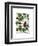 Squash Vine 3-Fab Funky-Framed Art Print