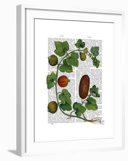 Squash Vine 3-Fab Funky-Framed Art Print