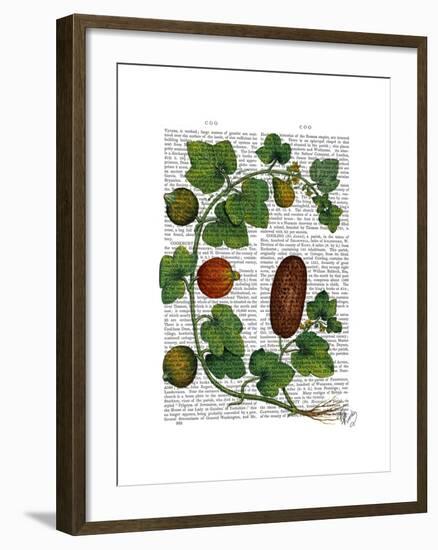 Squash Vine 3-Fab Funky-Framed Art Print