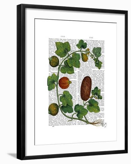 Squash Vine 3-Fab Funky-Framed Art Print