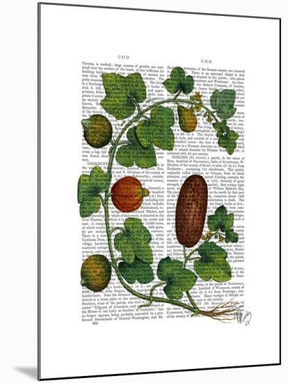 Squash Vine 3-Fab Funky-Mounted Art Print