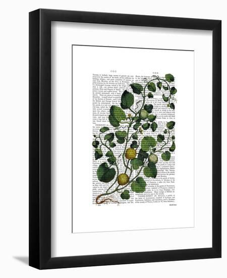 Squash Vine 4-Fab Funky-Framed Art Print