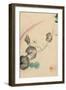 Squash Vine With Blossom, Squash, And Rainbow-null-Framed Art Print