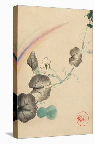 Squash Vine With Blossom, Squash, And Rainbow-null-Stretched Canvas