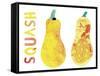 Squash-Summer Tali Hilty-Framed Stretched Canvas