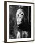 Squashed Orangutan-null-Framed Photographic Print