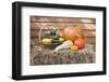 Squashes and Pumpkins on Straw in Front of Wooden Wall-Eising Studio - Food Photo and Video-Framed Photographic Print