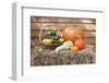 Squashes and Pumpkins on Straw in Front of Wooden Wall-Eising Studio - Food Photo and Video-Framed Photographic Print