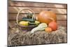 Squashes and Pumpkins on Straw in Front of Wooden Wall-Eising Studio - Food Photo and Video-Mounted Photographic Print