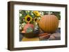 Squashes and Pumpkins with Sunflowers on Garden Table-Foodcollection-Framed Photographic Print