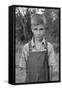 Squatter Boy-Dorothea Lange-Framed Stretched Canvas