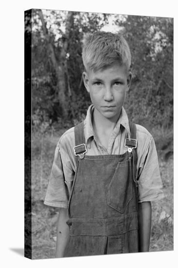 Squatter Boy-Dorothea Lange-Stretched Canvas