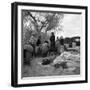 Squatters along highway near Bakersfield, California, 1935-Dorothea Lange-Framed Photographic Print