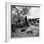 Squatters along highway near Bakersfield, California, 1935-Dorothea Lange-Framed Photographic Print