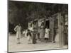 Squatters' shack home in California, 1935-Dorothea Lange-Mounted Photographic Print