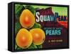 Squaw Peak Pear Crate Label - Provo, UT-Lantern Press-Framed Stretched Canvas