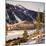 Squaw Valley's Blyth Arena-null-Mounted Photographic Print