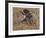 Squawking Honker-Allen Friedman-Framed Limited Edition