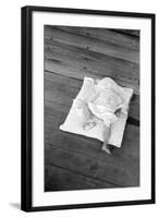 Squeakie asleep in Hale County, Alabama, 1936-Walker Evans-Framed Photographic Print