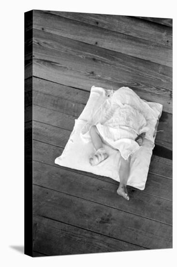 Squeakie asleep in Hale County, Alabama, 1936-Walker Evans-Stretched Canvas