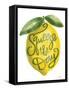 Squeeze the Day-Molly Mattin-Framed Stretched Canvas