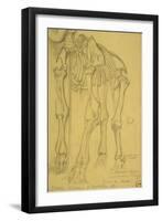 Squelette d'éléphant-Gustave Moreau-Framed Giclee Print