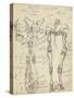 Squelette de cheval-Eugène Samuel Grasset-Stretched Canvas
