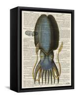 Squid 1-Tina Carlson-Framed Stretched Canvas