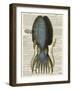 Squid 1-Tina Carlson-Framed Art Print