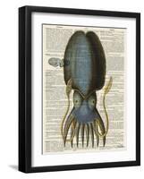 Squid 1-Tina Carlson-Framed Art Print