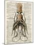 Squid 2-Tina Carlson-Mounted Art Print