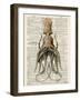 Squid 2-Tina Carlson-Framed Art Print