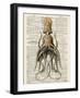 Squid 2-Tina Carlson-Framed Art Print