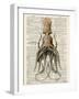 Squid 2-Tina Carlson-Framed Art Print