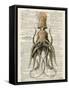 Squid 2-Tina Carlson-Framed Stretched Canvas