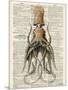 Squid 2-Tina Carlson-Mounted Art Print