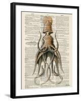 Squid 2-Tina Carlson-Framed Art Print