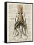 Squid 2-Tina Carlson-Framed Stretched Canvas