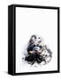 Squid in its Own Ink-Nicolas Lemonnier-Framed Stretched Canvas