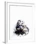 Squid in its Own Ink-Nicolas Lemonnier-Framed Photographic Print